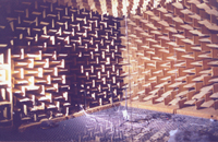 Click here to enter the Anechoic Chamber Model